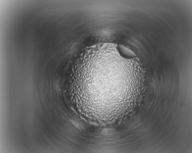 X0000068270663200604281553