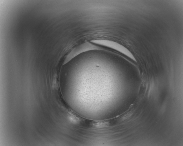 X0000068270670200604281553