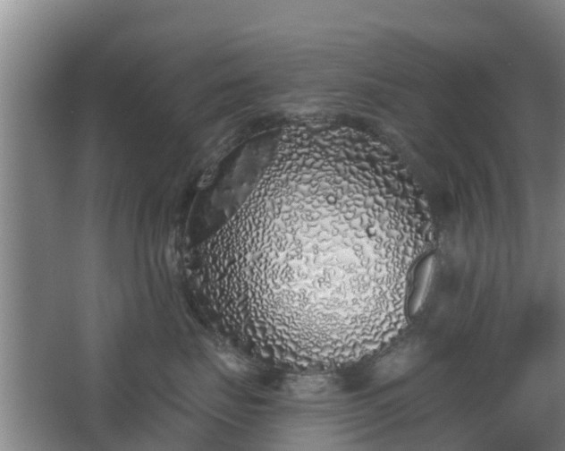 X0000068270671200604281553