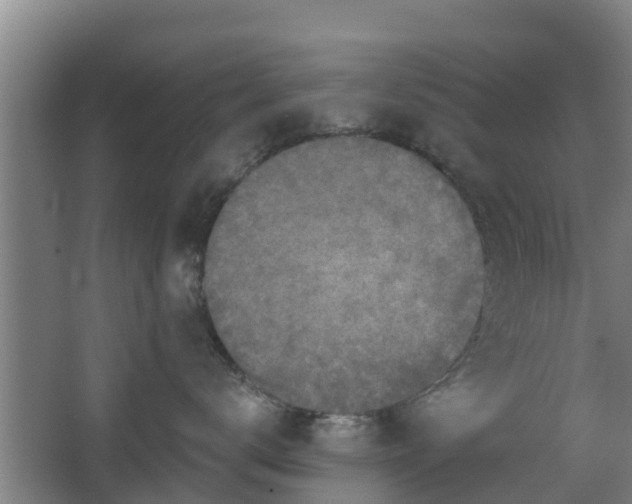 X0000068270672200604281553