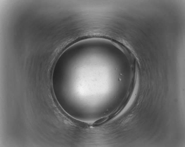 X0000068270673200604281552