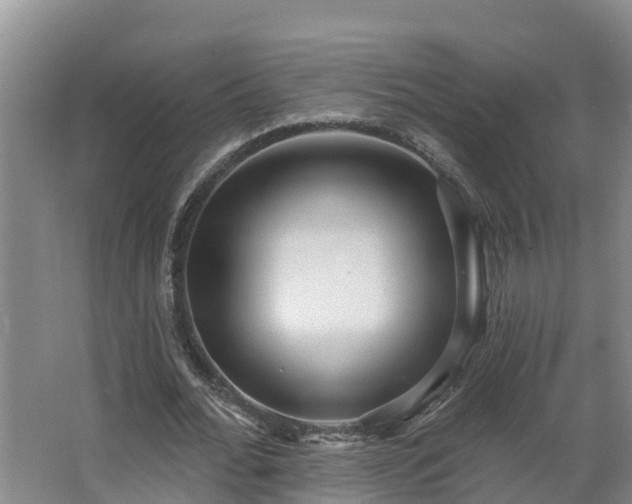 X0000068270676200604281552