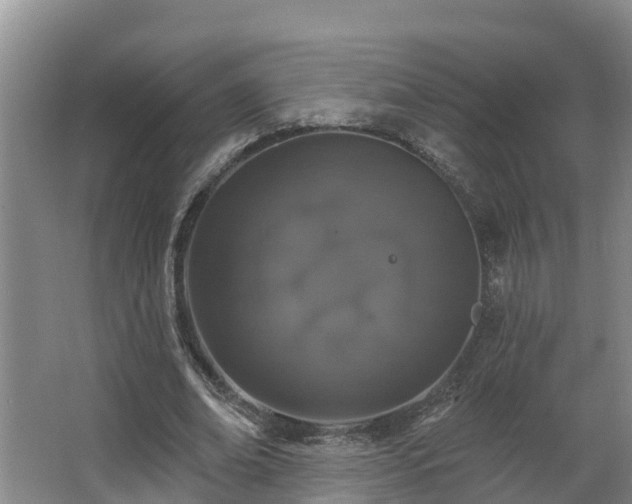 X0000068270678200604281552