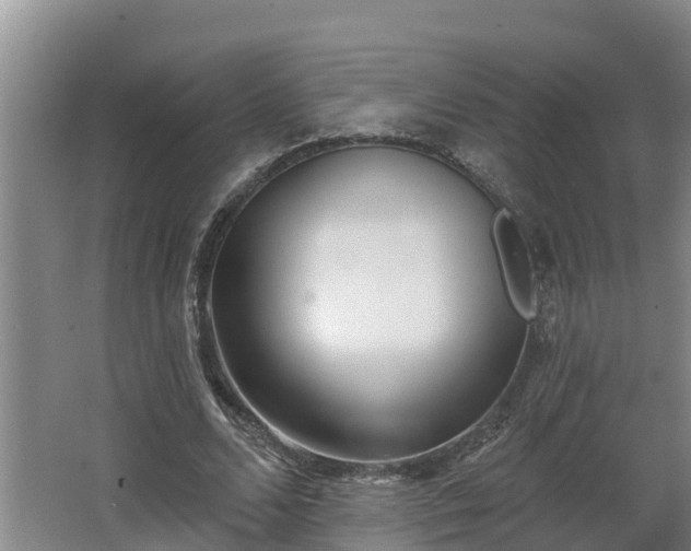 X0000068270680200604281552