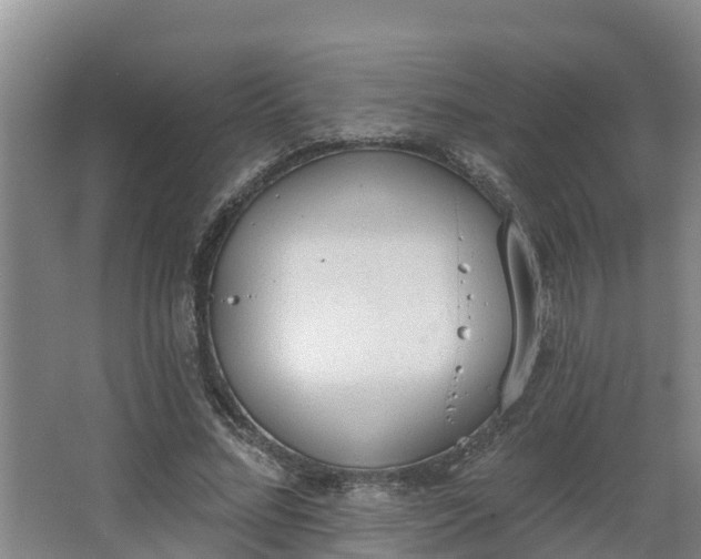 X0000068270684200604281552