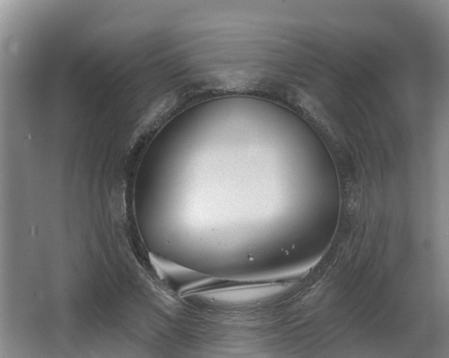 X0000068270685200604281552