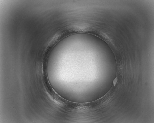 X0000068270686200604281552