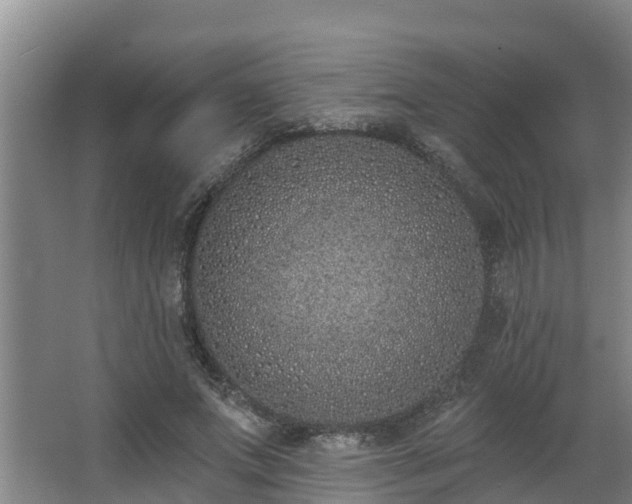 X0000068270687200604281552