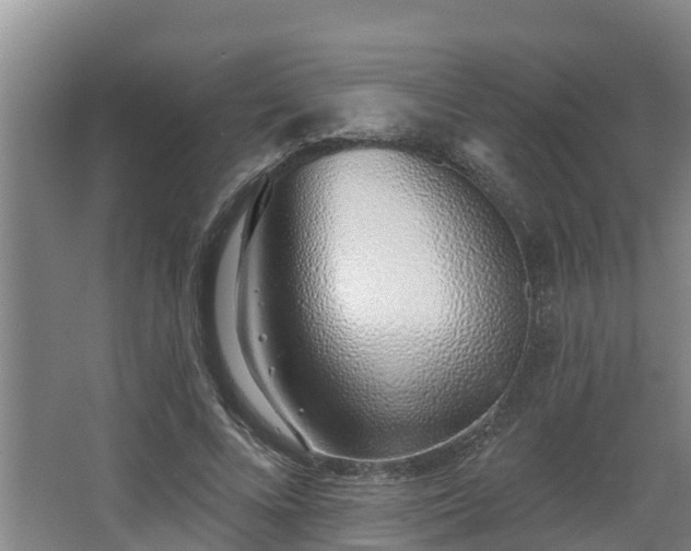 X0000068270688200604281552