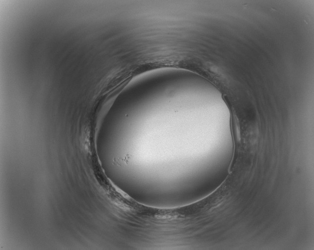 X0000068270693200604281552