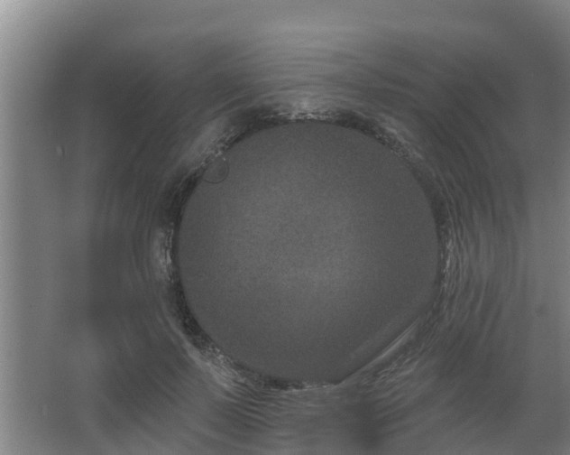 X0000068270695200604281552