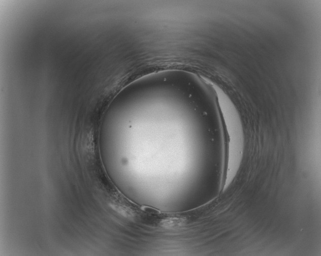 X0000068270700200604281552