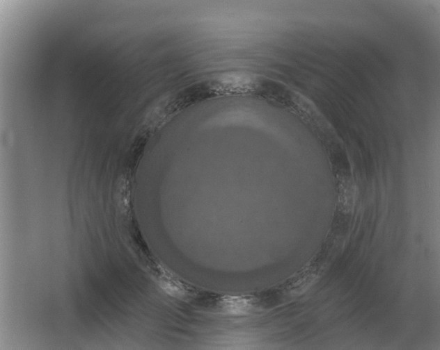 X0000068270701200604281552