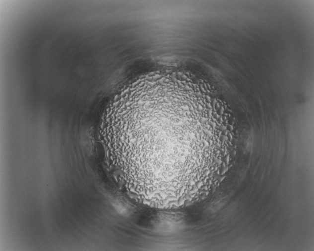 X0000068270707200604281552