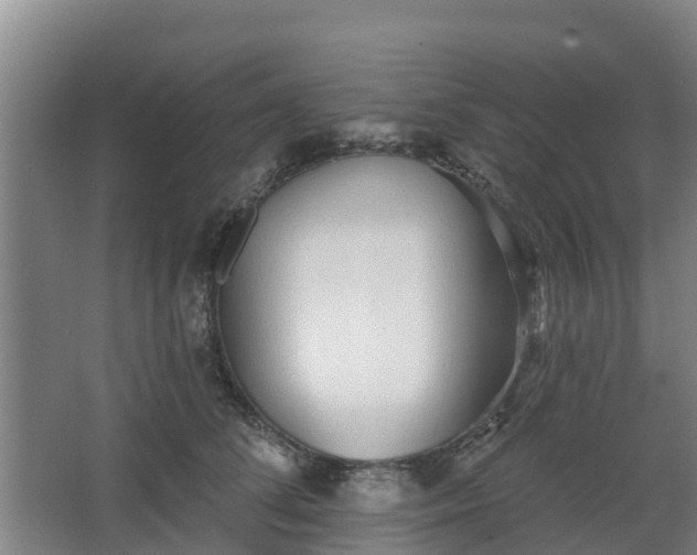 X0000068270708200604281552