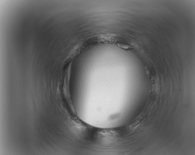 X0000068270712200604281551