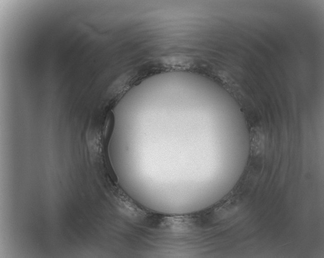 X0000068270713200604281551