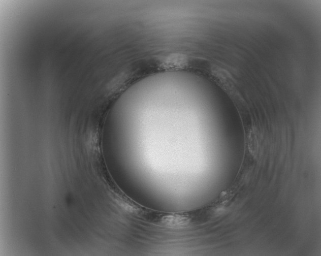 X0000068270714200604281551