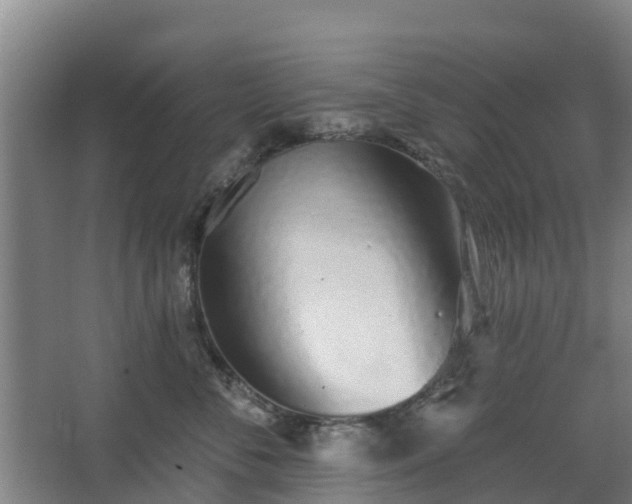 X0000068270716200604281551