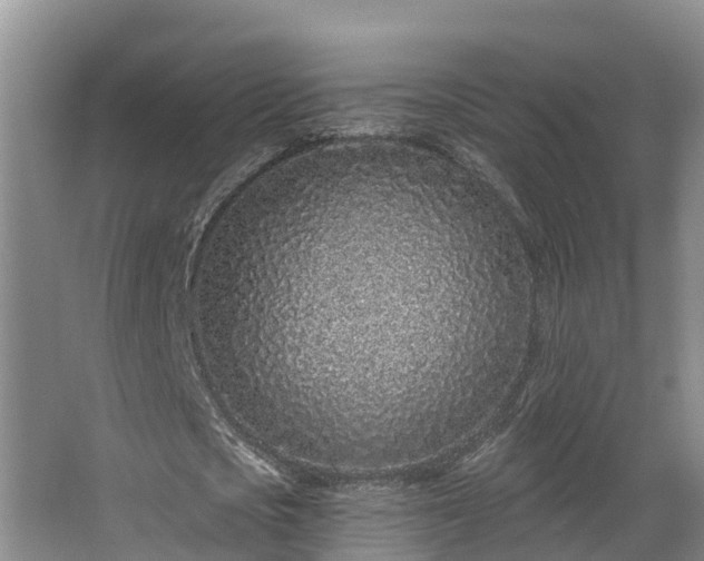 X0000068270721200604281551