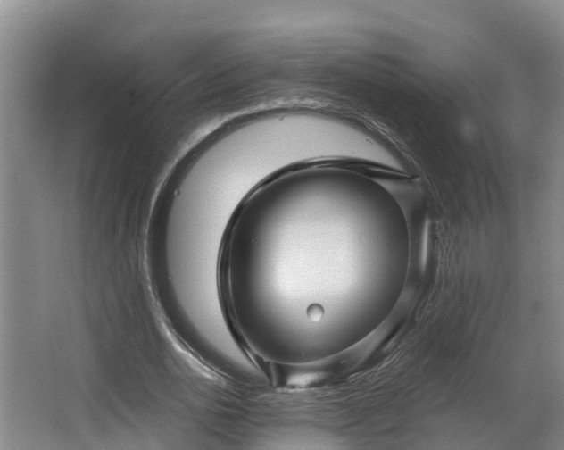 X0000068270726200604281551