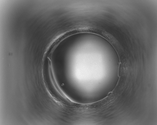 X0000068270728200604281551