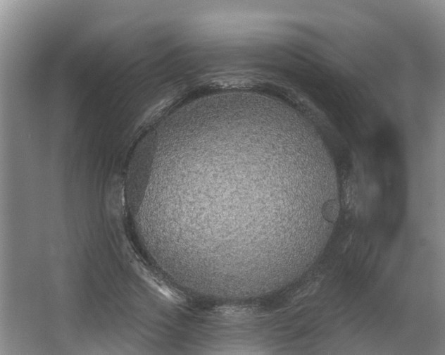 X0000068270733200604281551