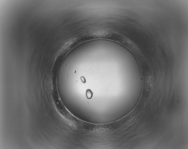 X0000068270734200604281551