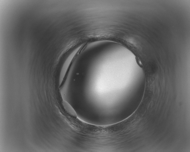 X0000068270735200604281551