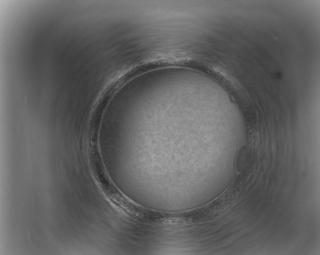 X0000068270736200604281551