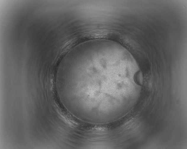 X0000068270741200604281551