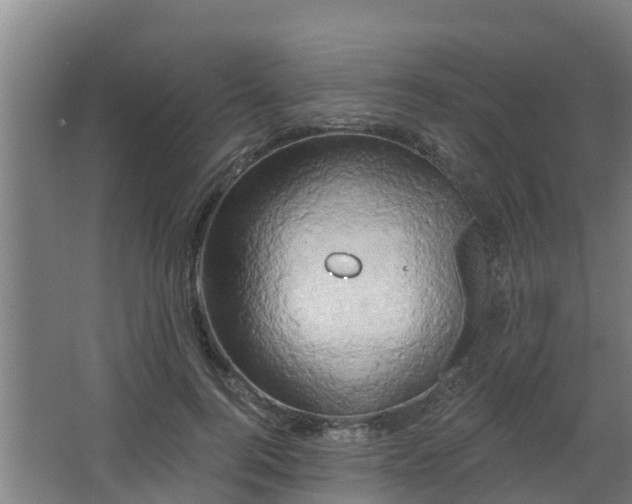 X0000068270744200604281551