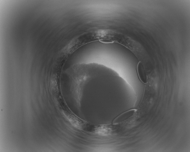 X0000068270754200604281551