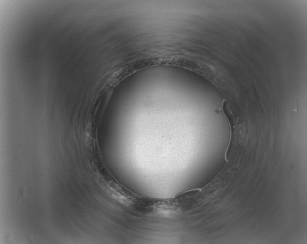 X0000068270756200604281551