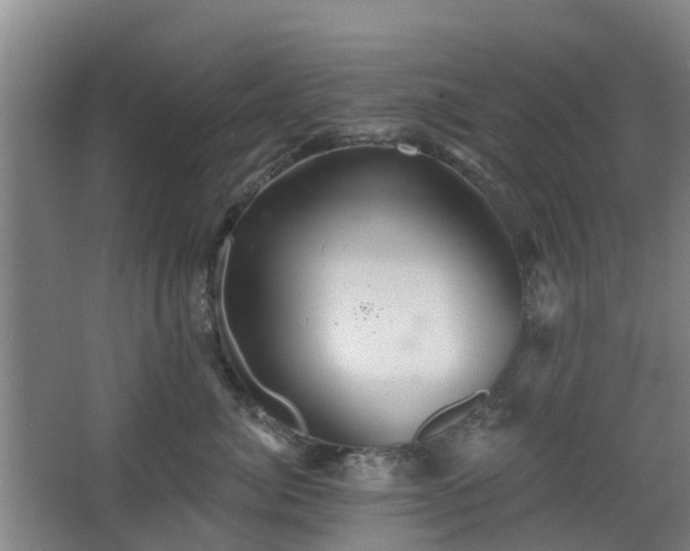 X0000068270764200604281551