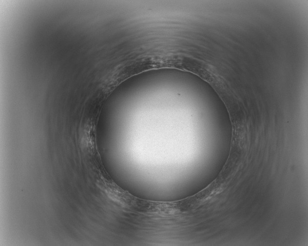 X0000068270770200604281550