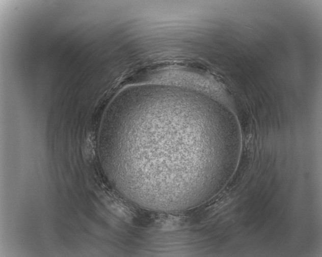 X0000068270772200604281550