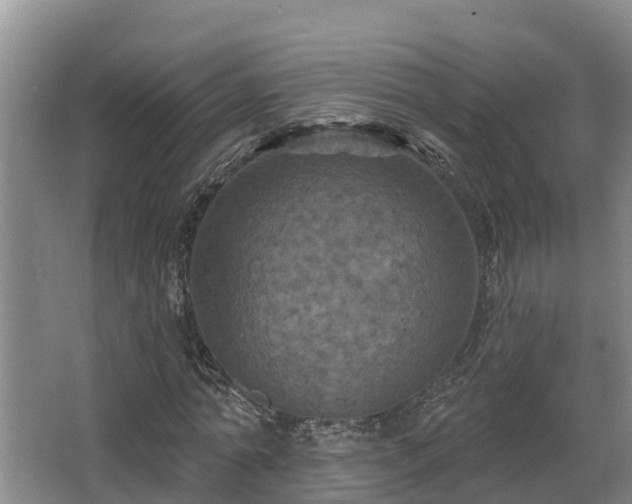 X0000068270774200604281550