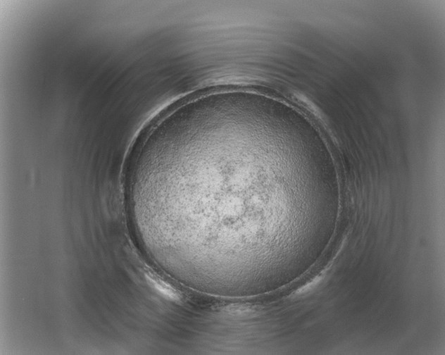 X0000068270779200604281550