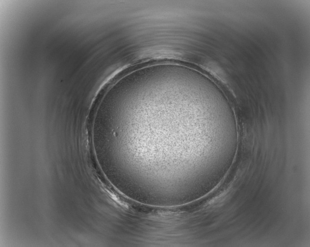 X0000068270782200604281550