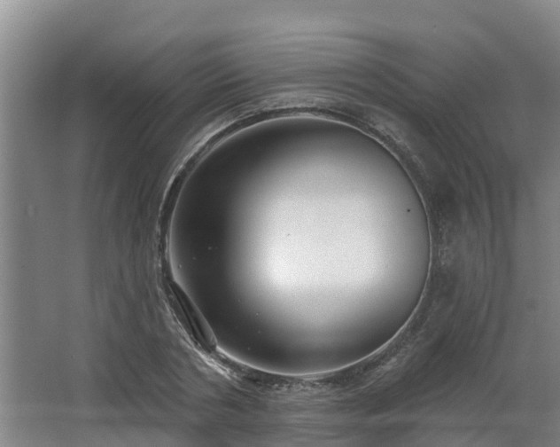 X0000068270786200604281550