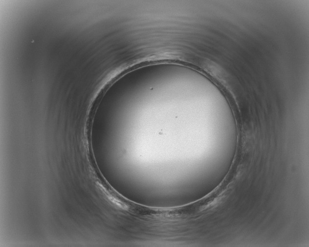 X0000068270789200604281550