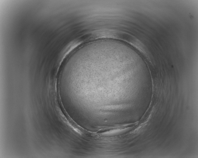 X0000068270790200604281550