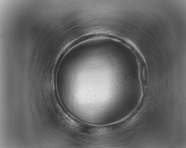 X0000068270791200604281550