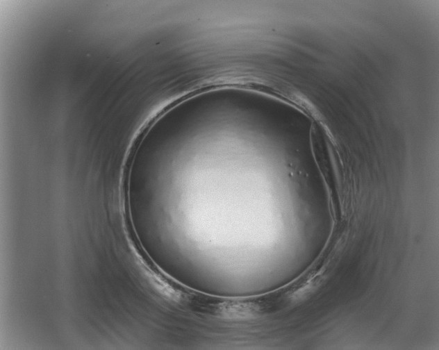 X0000068270795200604281550