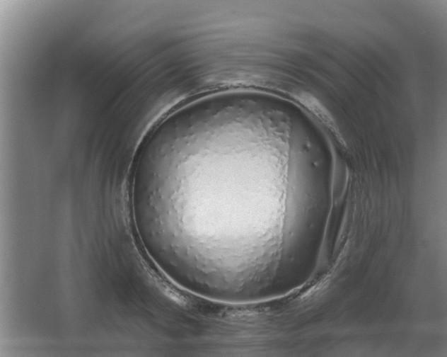 X0000068270798200604281550