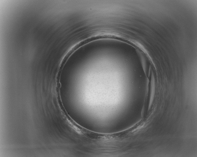 X0000068270799200604281550