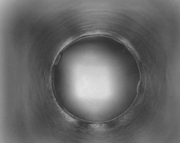 X0000068270805200604281550