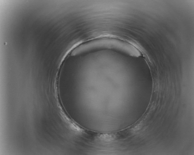 X0000068270806200604281550