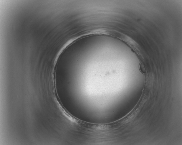 X0000068270808200604281550